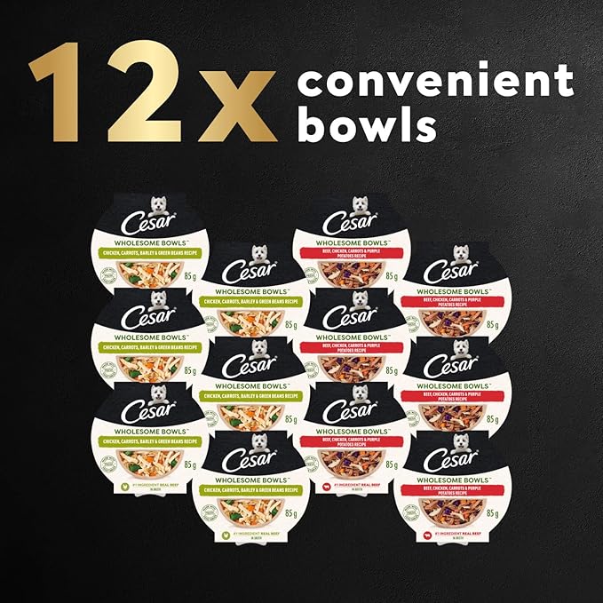 Cesar Wholesome Bowls Adult Wet Dog Food, Chicken, Carrots, Barley & Green Beans Recipe and Beef, Chicken, Purple Potatoes & Carrots Recipe Variety Pack, 3 oz. (6 Count, Pack of 1)