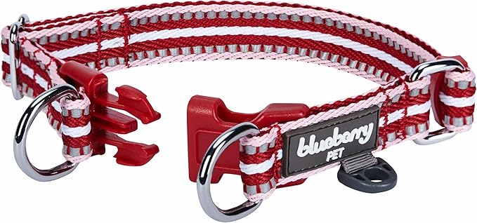 Blueberry Pet Safety Dog Collar with Dual D-Rings | 3M Reflective Multi-Colored Adjustable Collar in Marsala Red and Pink | Soft Nylon Dog Collar for Active Large Dogs