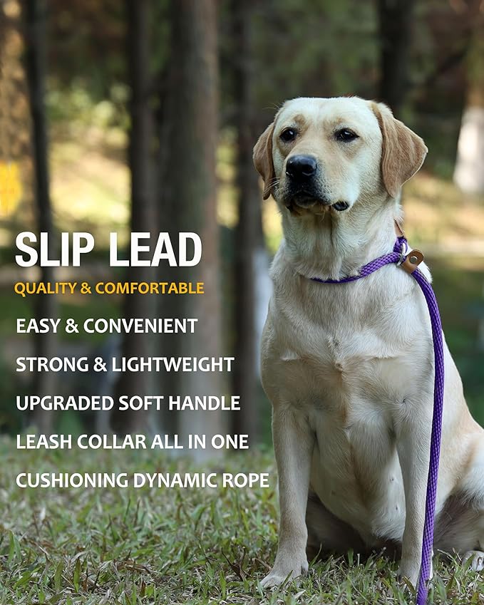 lynxking Dog Leash Slip Lead 5 6 8 FT Dog Training Leash Strong Heavy Duty Braided No Pull Training Lead for Small Medium Large Dogs