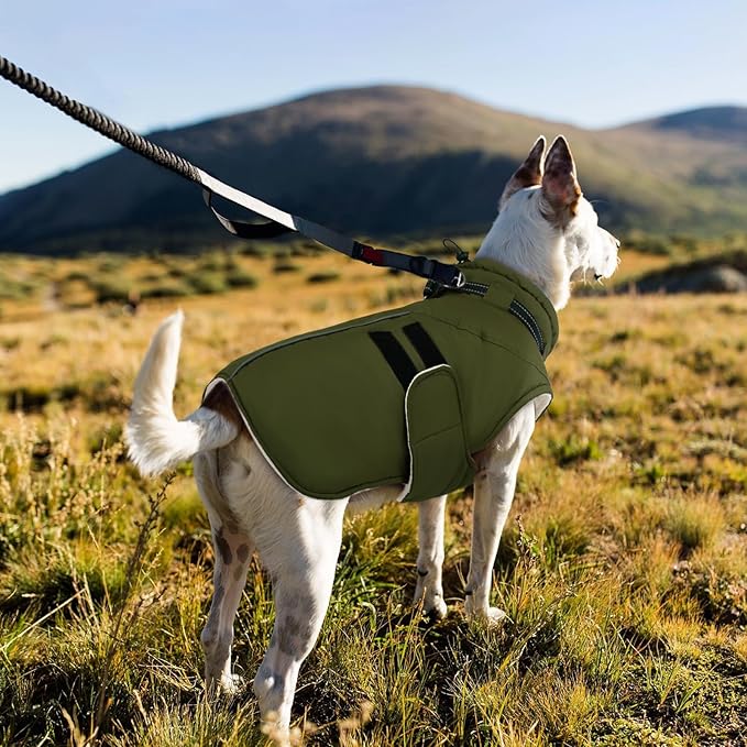 IECOii Small Dog Coat, Waterproof Dog Snow Jacket with Built in Collar, Thermal Fleece Lined for Cold Weather, Safety Reflective Dogs Winter Coat for Nighttime Walks, Easy On/Off, Army Green - M