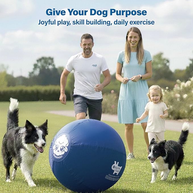Race&Herd 30" Original XXL Herding Ball for Dogs - Giant Herding Dog Ball Australian Shepherds, Herding Toys, Dog Training Toy for Large Breeds, Dog Toy for Outdoor Play (Large Dogs/Horses, Yellow)