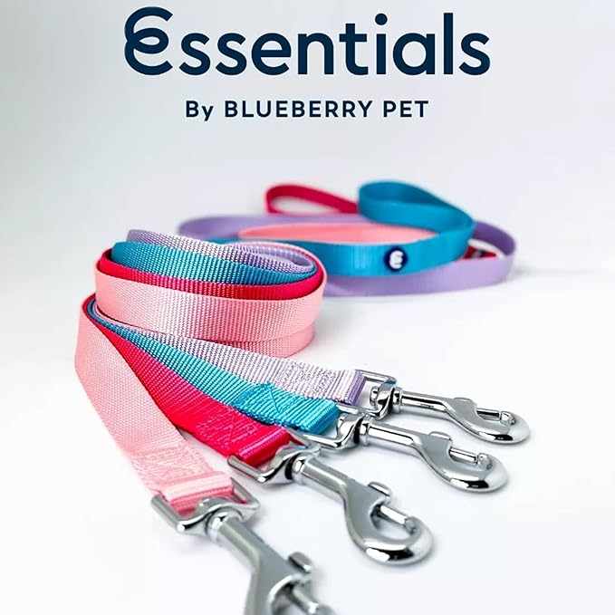 Blueberry Pet Essentials French Pink Dog Leash for X-Small -5' * 3/8" Dogs | Heavy Duty Nylon Lead | Lightweight Puppy & Cat Leash for Walking & Training