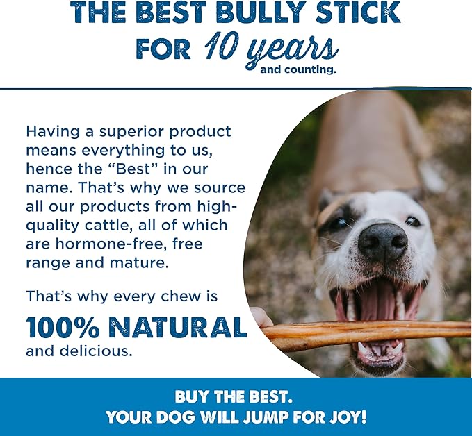 Best Bully Sticks Natural Jumbo Bully Sticks for Large Dogs - 12 Inch, 8 Count (Pack of 1) - 100% Free-Range Grass-Fed Beef, Single-Ingredient, Grain and Rawhide Free Long Lasting Dog Chews