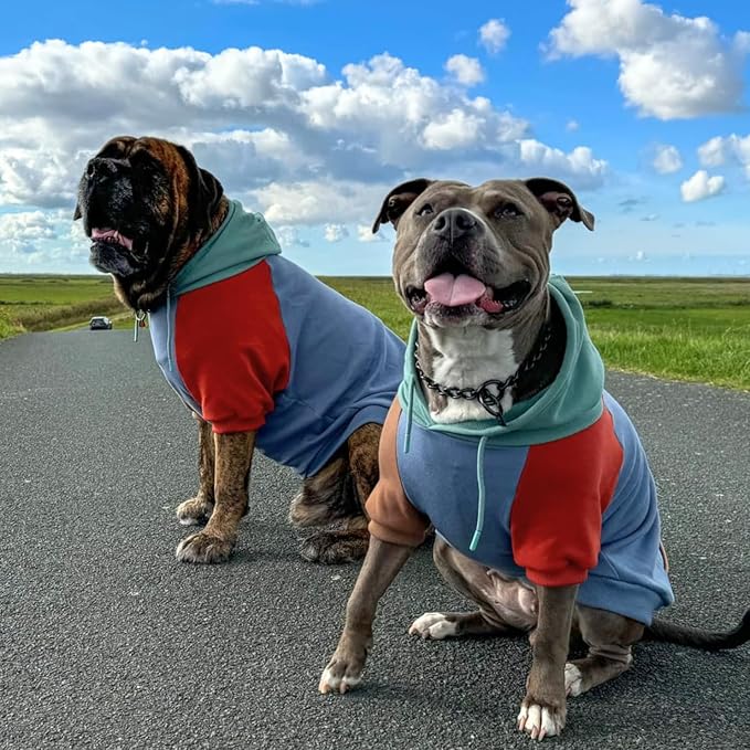 Spark Paws Dog Hoodie – Premium Dog Sweater for Small, Medium, and Large Dogs | Warm Outfits for French Bulldogs, Pitbull, Puppy, Winter Jacket Alternative - Alpine - 2XL