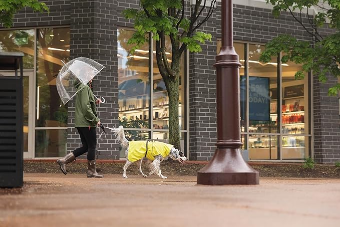 Goldpaw Rainpaw Waterproof Dog Raincoat - Durable Dog Rain Jacket for All Seasons - Easy to Wear, Adjustable, Premium Pet Outerwear - Made in The USA - Machine Washable - Navy - Size 24