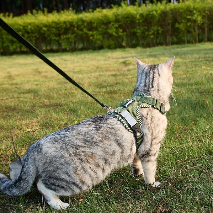Cat Harness and Leash Escape Proof Medium Kitten Harness Bengal Cat Vest for Walking Travel, Dark Green, M
