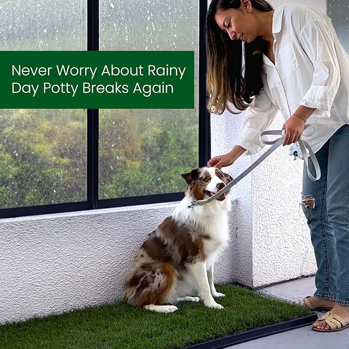 Fresh Patch Real Grass Patch for Dogs, Cats, and Extra Large Pets 30 Pounds and Above – Disposable Pet Grass Pee Pads – Indoor and Outdoor Potty Training Mat (24 Inches x 48 Inches)