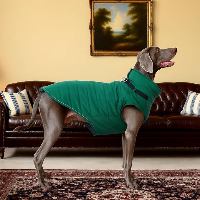 Kuoser Dog Jacket, Warm Dog Coat with Harness Built in for Small Dogs, Puppy Winter Jacket Pet Clothes for Cold Weather, Windproof Doggie Winter Vest for Pug Dachshund, Green S