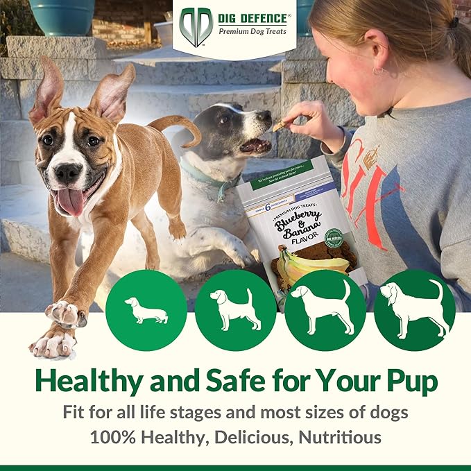 Dig Defence Premium Dog Treats - Blueberry and Banana, Natural Ingredients, Baked Gourmet Snacks for Small & Big Dogs, Healthy Training Treat, 2 Pack