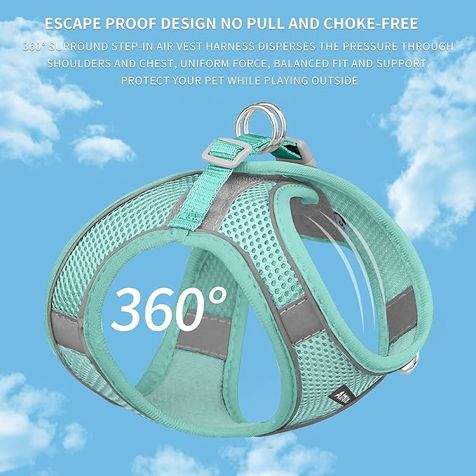 AIITLE Step in Dog Harness and Leash Set - Summer No Pull Escape Proof Vest Harnesses with Soft Mesh and Reflective Bands, Adjustable Pet Outdoor Harnesses for Small and Medium Dogs Pure Turquoise M