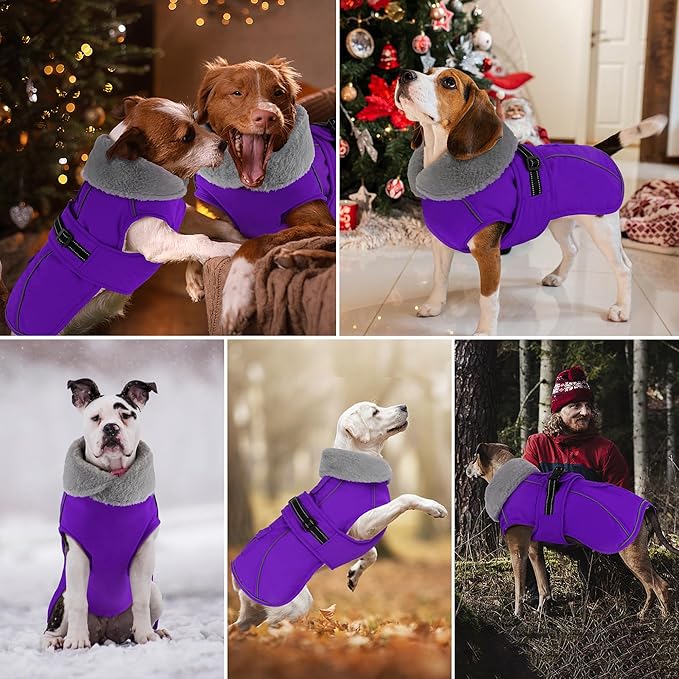 Dogcheer Dog Coat with Pocket, Waterproof Dog Jacket with Adjustable Buckle, Reflective Puppy Winter Coat Warm Turtleneck Fleece SnowJacket for Small Medium Large Dogs - Purple S