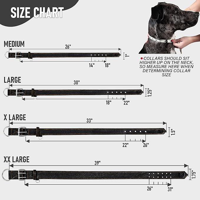 Riparo Dog Collar - Genuine Leather Dog Collars - Heavy Duty Dog Collars for Medium Large and Extra Large Dog Breeds (M: 1” Wide for 14” - 18” Neck, Black/Orange Thread)