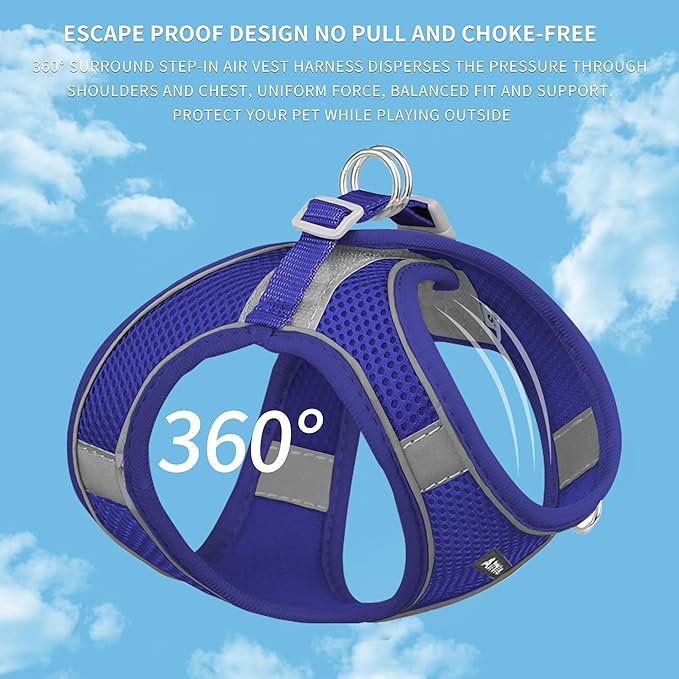 AIITLE Comfortable Dog Harness and Leash Set for Walking - Summer Step in Vest Harness,Reflective Bands, Adjustable No Pull Puppy Essentials, for Small Dogs and House Cats Royal Blue XS