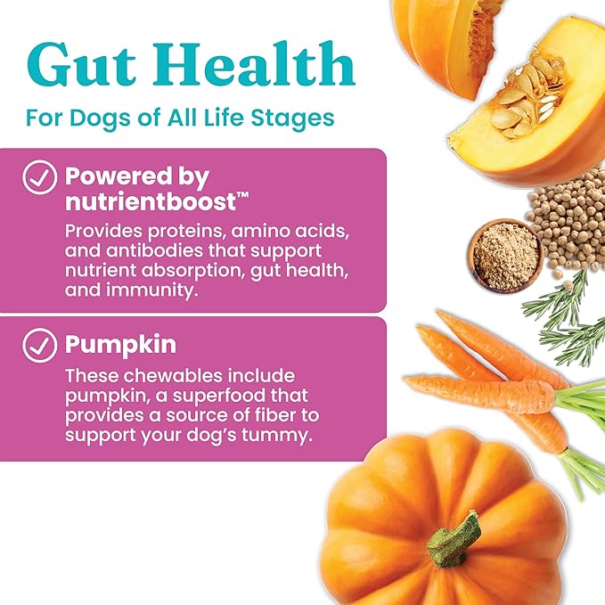 Solid Gold Healthy Dog Treats - Functional Pumpkin Dog Teats w/Flaxseed & Gentle Superfoods for Gut Health & Digestion - Gluten Free Healthy Training Treat for Dogs of All Ages & Sizes - 5.2 oz