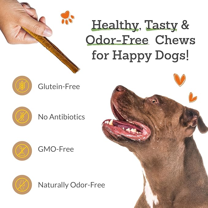 Advance Pet Products 6 Inch Bully Sticks (Pack of 5) - 100% Beef, Odor Free Dog Chews for Aggressive Chewers - Long Lasting, Gluten-Free, Easy to Digest, High Protein & Rawhide Free Chews for Dogs