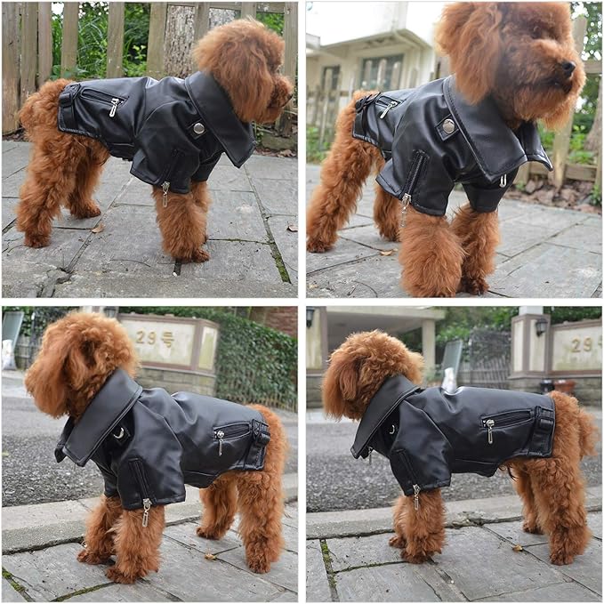 Lovelonglong Cool Dog Leather Jacket, Warm Coats Dogs Windproof Cold Weather Coats for Large Medium Small Dogs,Miniature PoodleSchnauzers Clothing Black XL