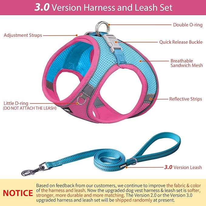 AIITLE Small Harness for Puppy with A Leash - Summer Dog Vest Harness with Super Breathable Mesh, Reflective No-Pull Pet Harness for Outdoor Walking, Camping for Small Dogs, Cats Hot Pink XXS