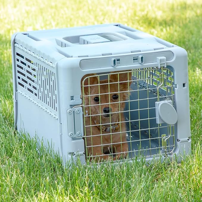 SportPet Designs Collapsible X-Small Pet Travel Carrier (Blue), Hard-Sided Kennel for Small Dogs, Puppies, Cats, Kittens, Animals up to 20lbs, Washable Home & Outdoor Pet Crate, 19.6"L x 13.5"W x 12"H