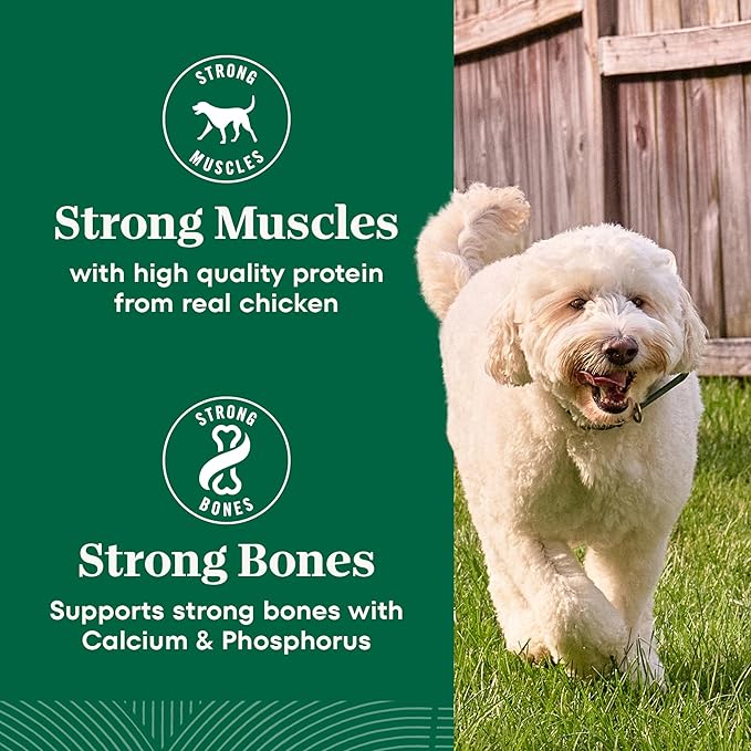 Nutro Natural Choice Chicken & Brown Rice Senior Dog Food Dry Recipe, 30 lb. Bag