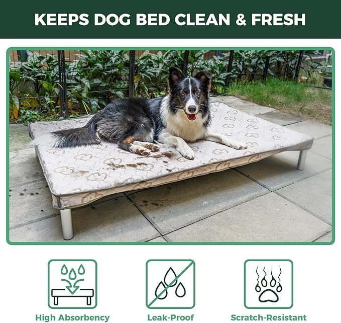 FXW TitanNest Chew-Proof Elevated Dog Bed, Raised Cot for Indoor/Outdoor/Camping Use, Durable & Washable Padded Pet Bed with Exclusive Cover for Toy Dogs, 23.0" L x 17.0" W x 4.5" H, Black