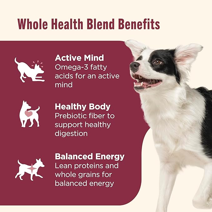 Nutrish Real Salmon, Veggies & Brown Rice Recipe Whole Health Blend Dry Dog Food, 13 lb. Bag, Packaging May Vary (Rachael Ray)