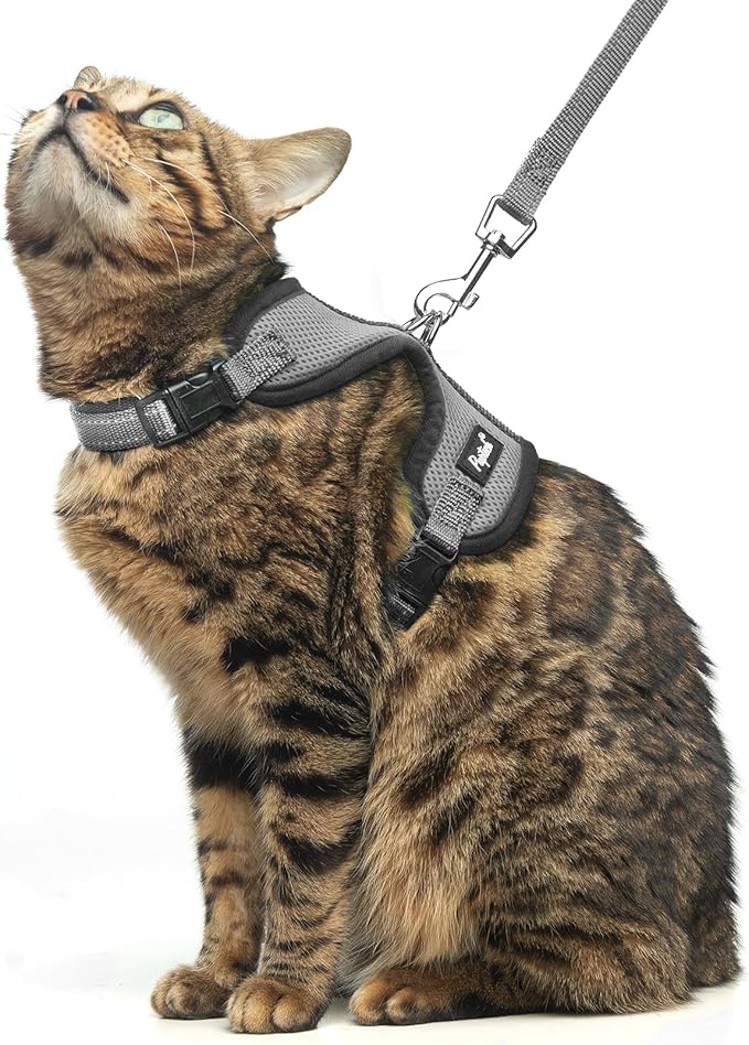 PUPTECK Cat Harness and Leash Set Escape Proof, Reflective Adjustable Soft Mesh Kitten Vest Harness for Walking Travel, Grey, S