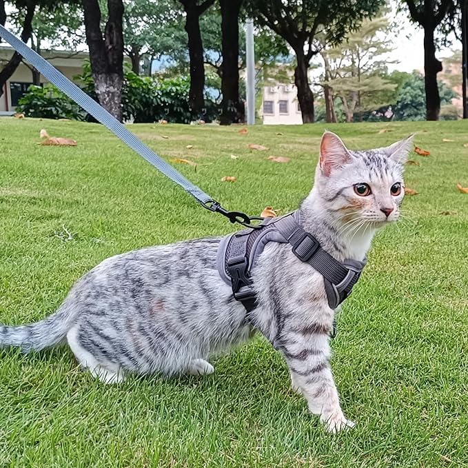 Cat Harness and Leash Set Escape Proof Tactical Small Kitten Harness Emotional Support Cat Vest, Grey, S