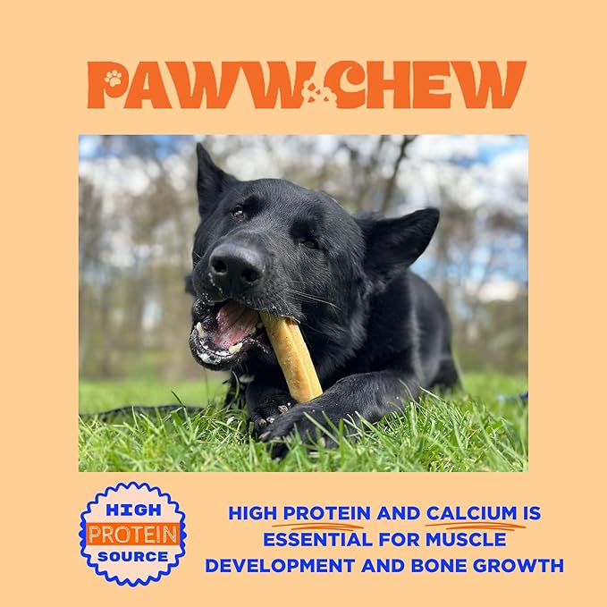Paww Chew Yak Chews For Large Dogs - 100% Natural, Long Lasting Dog Treats, (Large - 4 Pack) High Protein, Great for Oral Health, Odor-Free, Gluten-Free, Limited Ingredients Yak Bone for Power-Chewers