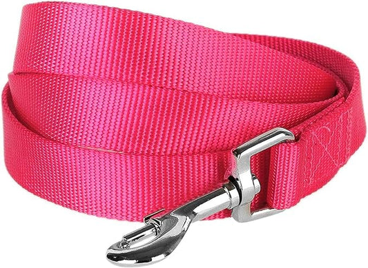 Blueberry Pet Essentials French Pink Dog Leash for Medium - 5' * 3/4" Dogs | Heavy Duty Nylon Lead | Lightweight Puppy & Cat Leash for Walking & Training