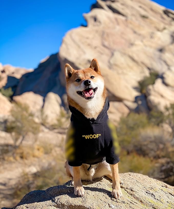 ChoChoCho Stylish Dog Hoodie Dog Clothes Streetwear Cotton Sweatshirt Fashion Outfit for Dogs Cats Puppy Small Medium Large (4XL, Yellow)