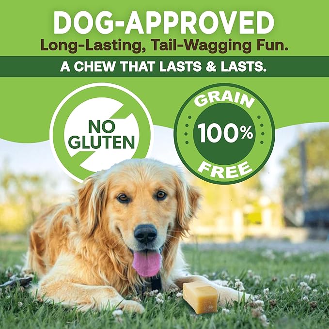 EcoKind Premium Gold Yak Cheese Himalayan Dog Chews, Dog Treats Large Breed, All Natural, High Protein Dog Chew, Cheese, Large - 18+ Chews