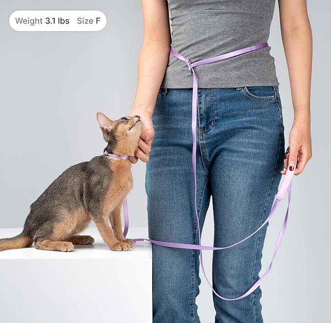 Cat Harness and Leash Set, Lightweight Escape Proof Cat Harness Leash with Padded Handle, Adjustable Cat Leash and Harness for Kitten Small Large Cats Walking Training (Blush Pink, L)