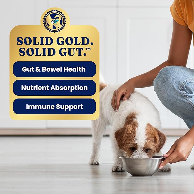 Solid Gold Wet Dog Food Topper & Meal Cups - W/Chicken, Beef & Pumpkin for Sensitive Stomachs, Gut Health & Digestive System Support - for Adult & Senior Small Breed & Large Breed Dogs - 3.5oz/6 Pack
