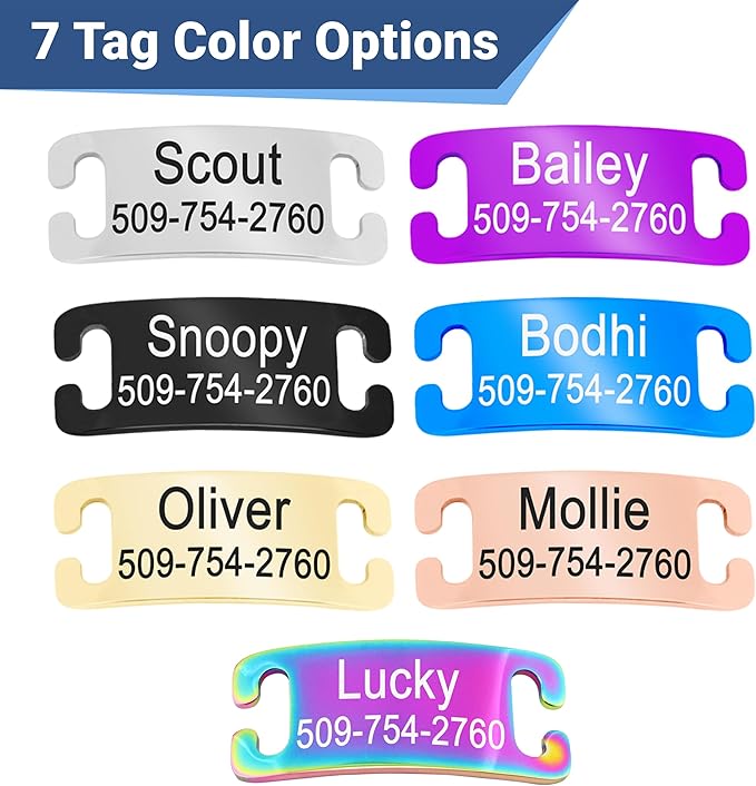 GoTags Personalized Cat Collars with Tag, Engraved Custom Cat Collar with Name and Phone, Breakaway Collar with Safety Buckle and Bell, Adjustable for Cats and Kitten (Blue with Nameplate)