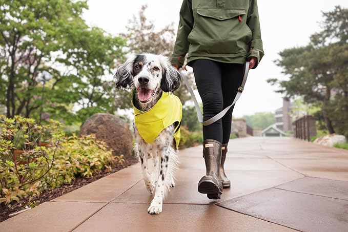 Goldpaw Rainpaw Waterproof Dog Raincoat - Durable Dog Rain Jacket for All Seasons - Easy to Wear, Adjustable, Premium Pet Outerwear - Made in The USA - Machine Washable - Red - Size 20