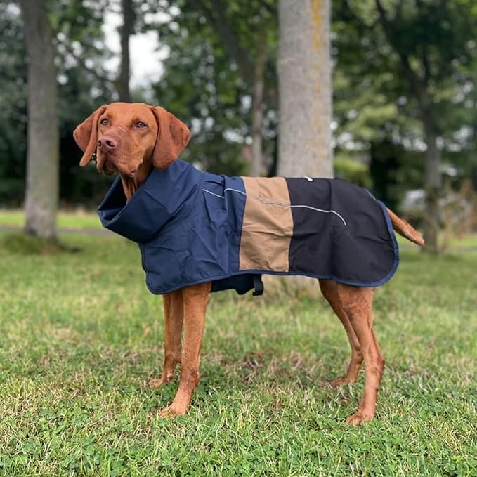 Spark Paws Dog Raincoat, Waterproof Windproof Rain Jacket, for Small Medium Large Extra Large Dogs, Reflective Breathable Full-Body Coverage Dry Suit - Blue Gold Black - XL
