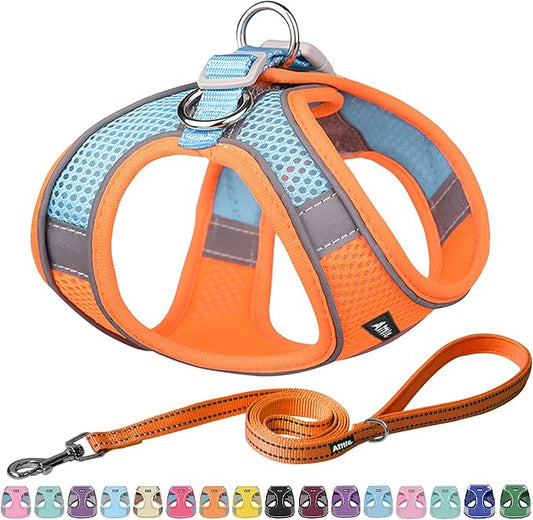 AIITLE Step in Dog Harness and Leash Set - Summer No Pull Escape Proof Vest Harnesses with Soft Mesh and Reflective Bands, Adjustable Pet Outdoor Harnesses for Small and Medium Dogs Orange M