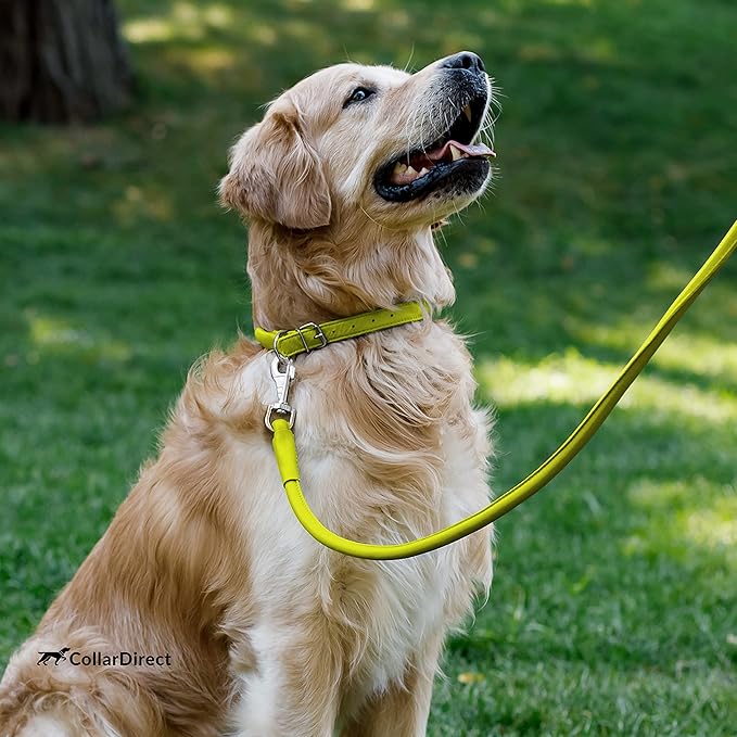 CollarDirect Rolled Leather Dog Collar, Soft Padded Round Puppy Collar, Handmade Genuine Leather Collar Dog Small Large Cat Collars 13 Colors (15-19 Inch, Lime Green Textured)