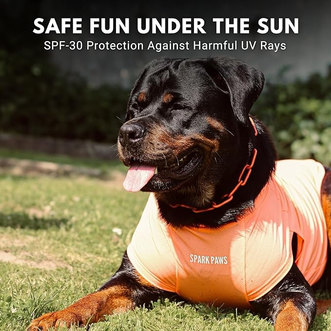 Spark Paws Sunblock Dog T-Shirt, SPF30 Protection, Lightweight Breathable Quick Dry for Dogs with Sensitive Skin - Purple & Peach (Set of 2) - 4XL