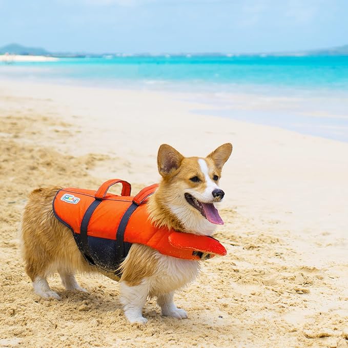 Outward Hound Granby Splash Dog Life Jacket, High-Buoyancy Dog Life Vest for Swimming, Boating, and Water Safety, Large, Orange