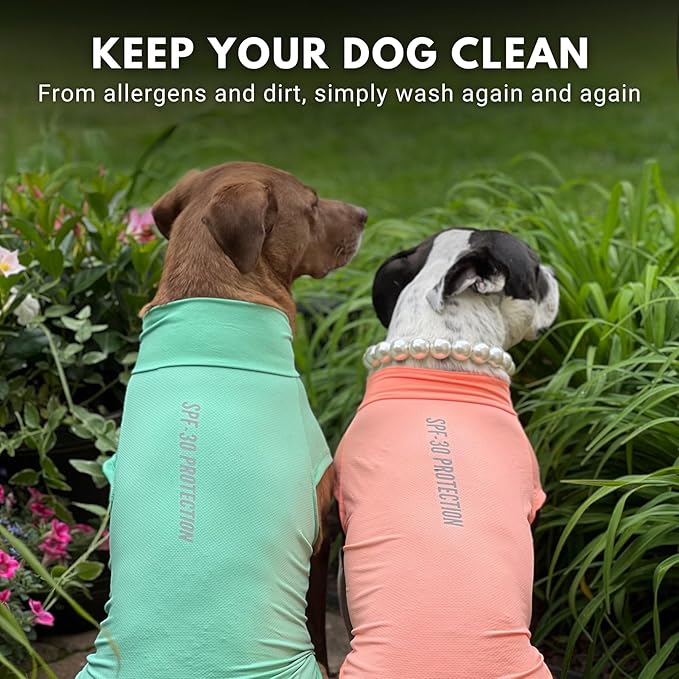 Spark Paws Sunblock Dog T-Shirt, SPF30 Protection, Lightweight Breathable Quick Dry for Dogs with Sensitive Skin - Peach & Mint (Set of 2) - S