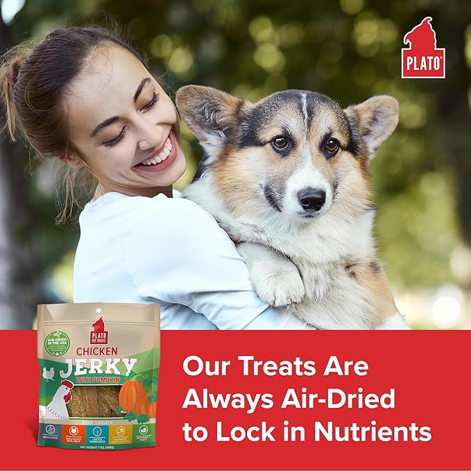 PLATO Pet Treats Dog Treats - Air-Dried Jerky for Dogs - Delicious, Real Meat Dog Treats - Grain Free - Supports Healthy Digestion - Chicken Jerky with Pumpkin 7oz