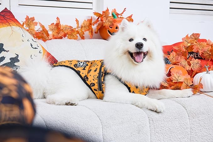 Aiboria Dog Jackets Windproof Outfit Coat Dog Vest Harness Puppy Warm Jacket Halloween Orange XL