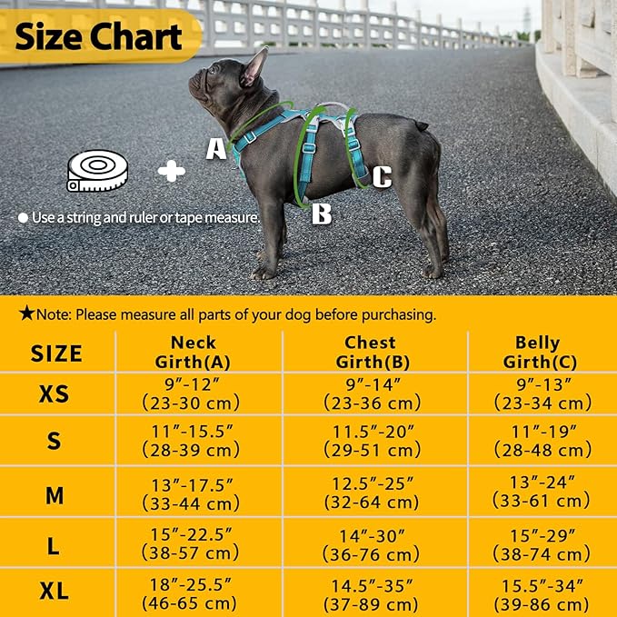 Huntboo Escape Proof Dog Harness, Escape Artist Harness, Fully Reflective Harness with Padded Handle, Breathable,Durable, Adjustable Vest for Medium Dogs Walking, Training, and Running Gear (Teal,XS)
