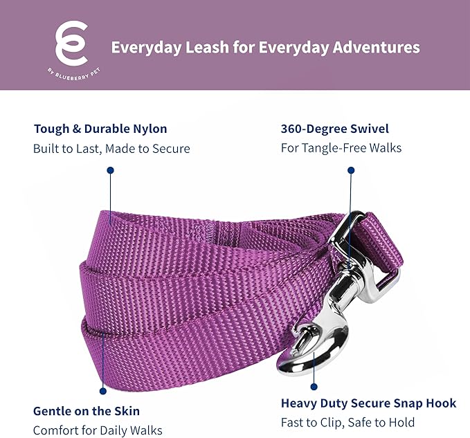 Blueberry Pet Essentials Violet Dog Leash for X-Small -5' * 3/8" Dogs | Heavy Duty Nylon Lead | Lightweight Puppy & Cat Leash for Walking & Training