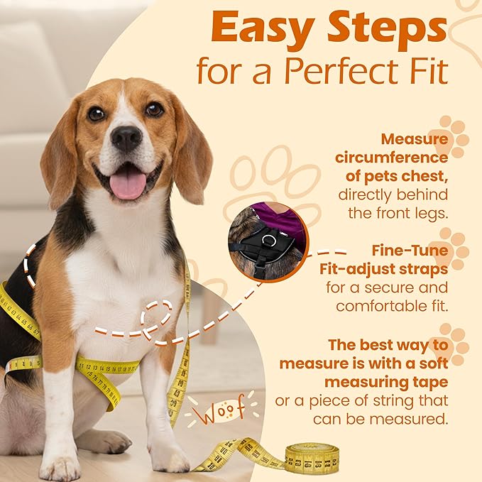 Bark Appeal Black No-Pull Dog Harness for Medium to Large Sized Pets – Adjustable, Reflective Vest with 3 Leash Clips for Added Control, Easy Walks & Training – Large