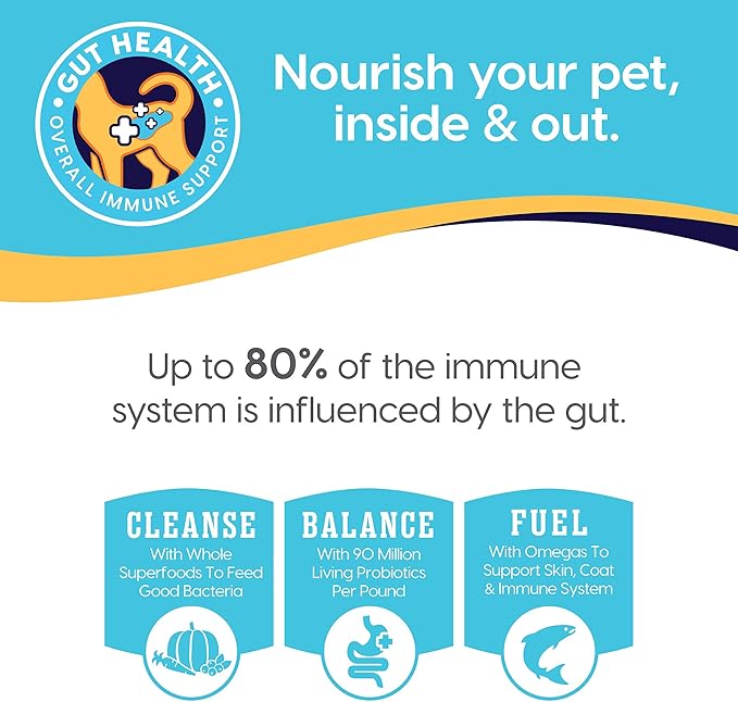 Solid Gold Canned Dog Food for Adult & Senior Dogs - Made with Real Lamb and Healthy Whole Grains - Hund-N-Flocken High Calorie, High Protein Wet Dog Food
