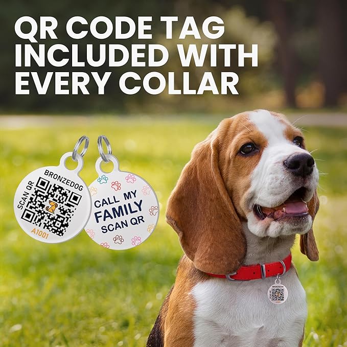 BronzeDog Rolled Leather Dog Collar with QR ID Tag, Adjustable Soft Round Collars for Small Medium Large Dogs Puppy (9" - 11" Neck Size, Blush)