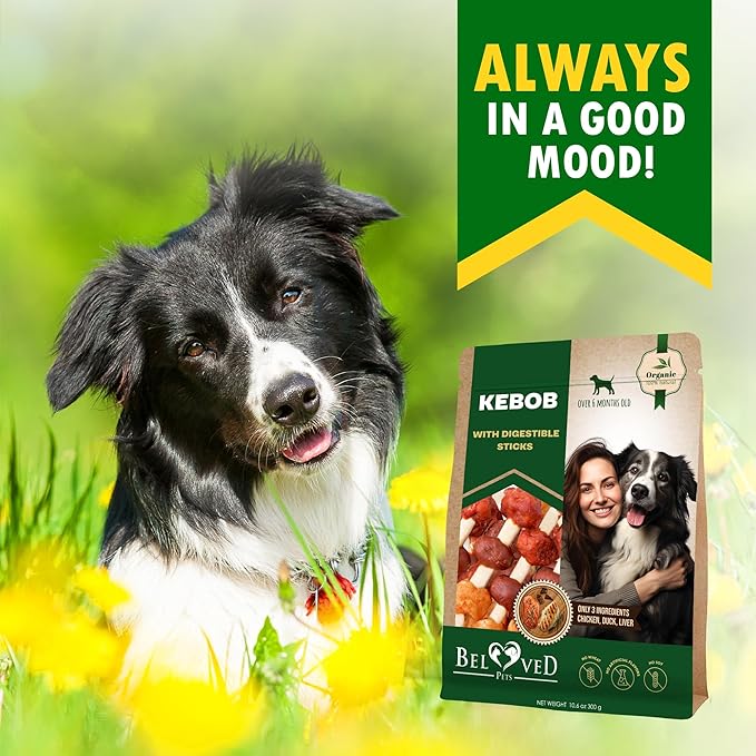 Beloved Pets Dog Treats Rawhide-Free Kabobs with Duck & Chicken Human Grade Meat 10.6 oz - All Natural Pet Dried Snacks & Grain Free Long Lasting Chews for Large & Small Dogs - Supports Healthy Teeth