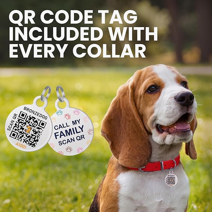 BronzeDog Rolled Leather Dog Collar with QR ID Tag, Adjustable Soft Round Collars for Small Medium Large Dogs Puppy (9" - 11" Neck Size, Coral Pink)